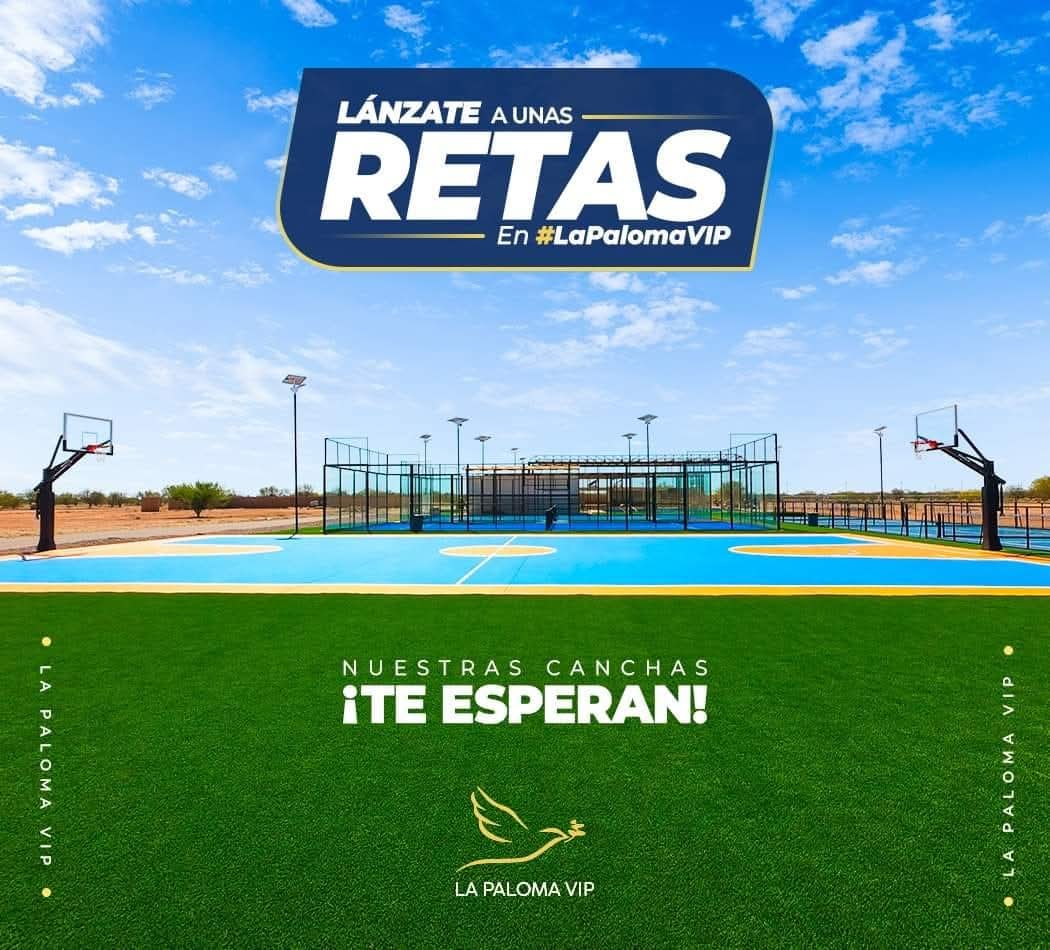 Canchas deportivas