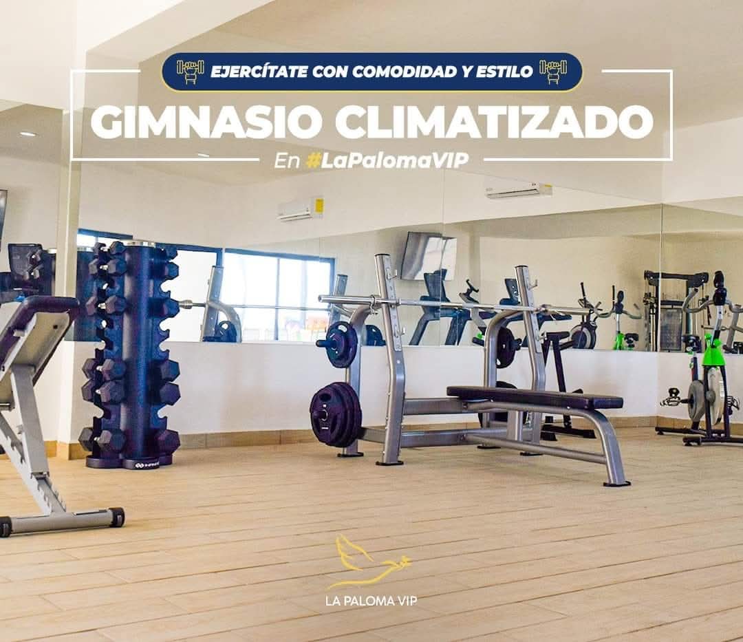 Gimnasio